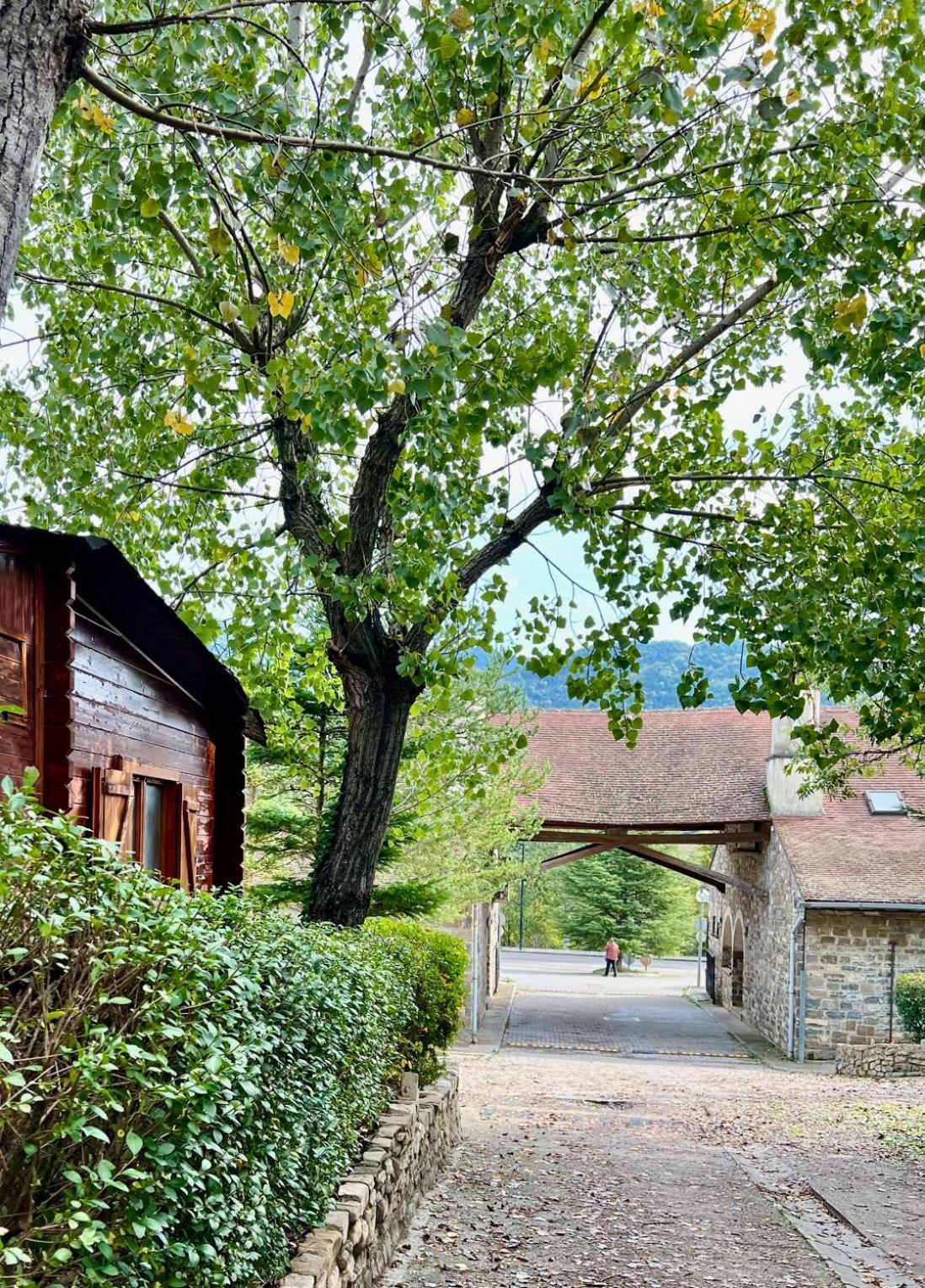Camping Valle De Hecho Eksteriør billede